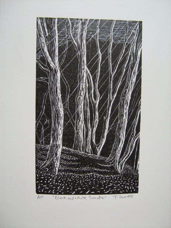 Trevor Inness