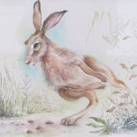 Yvonne Welsh