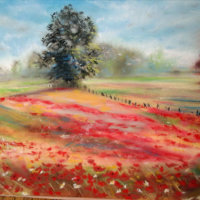 Jo Scarffe