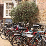 Typical Cambridge scene