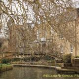 Peaceful River Cam
