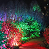 Anglesey Abbey's stunning winter lights 2013