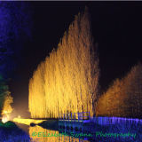 Anglesey Abbey's stunning winter lights