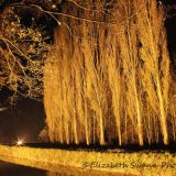 Anglesey Abbey Winter Lights