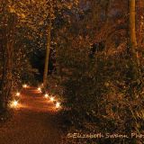 Anglesey Abbey Winter Lights