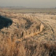 Frosty county walk