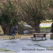 There will always be cyclists in Cambridge