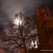 Ely Cathedral at night