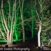 A walk through the tree lit pathways