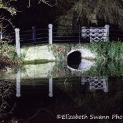 Bridge Reflection