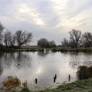 Wintery riverside