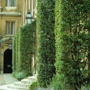 Clare College, Cambridge