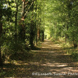 Stroll in the sunshine