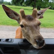 I'm not nosey!