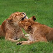 Mum and daughter