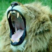 Time to wake up