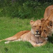Mum and daughter