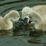 Sibling sharing!!
