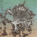 Cobweb