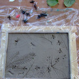 Insects pressed into clay