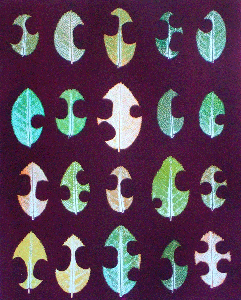 Rose leaves after leaf cutter bees activity