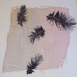 Mono prints inspired by nature; 1 day