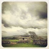 Instagrams