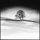 Calm after the storm