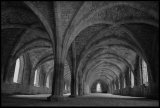 Cloister vault, Fountains Abbey