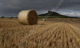 Hay Bales, Roseberry Topping