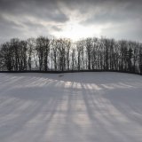 Long Snow Shadows