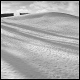 Rabbit footprints in snow
