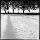Winter Scenes