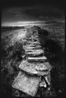 Landscapes