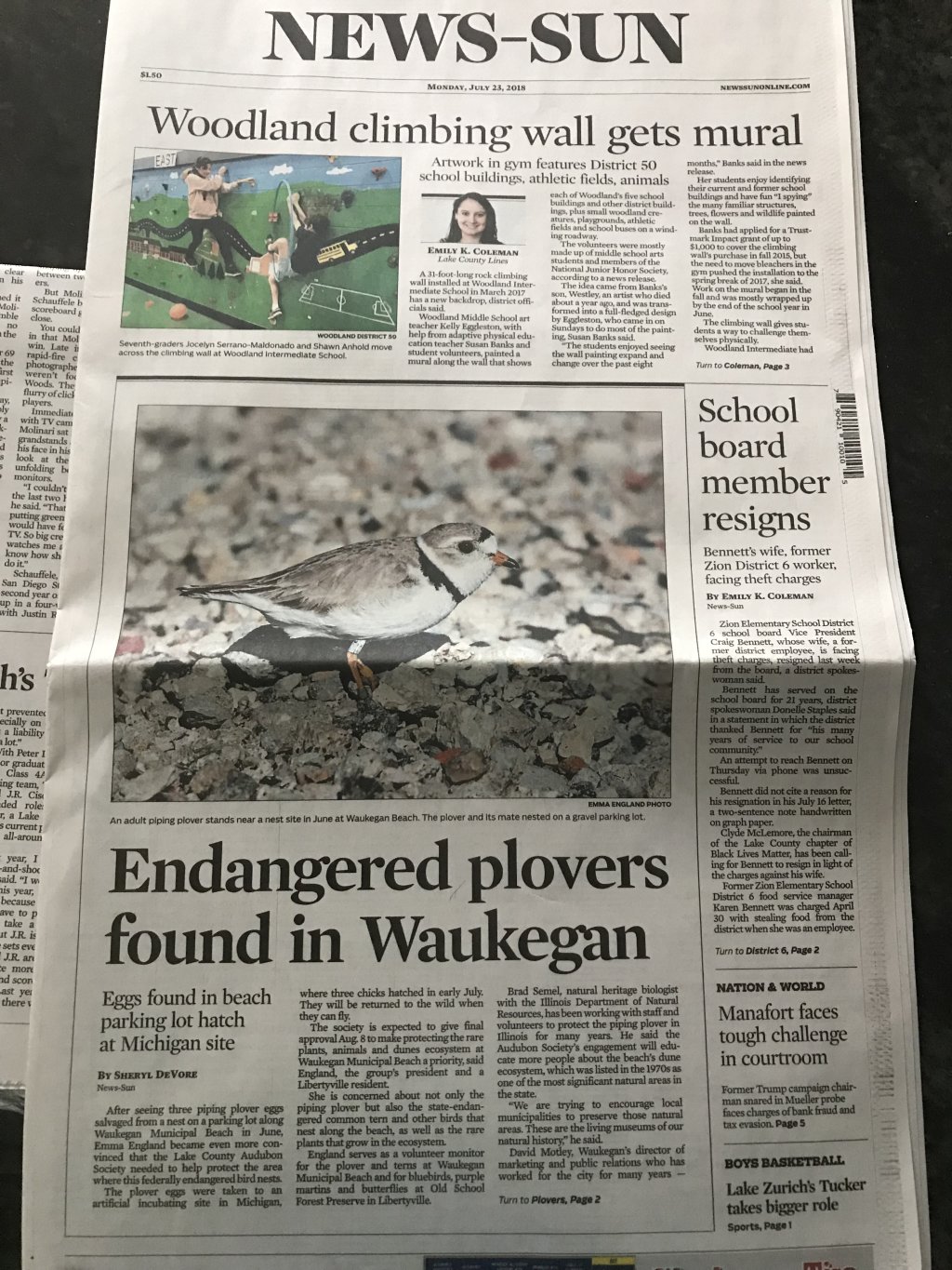 Article text