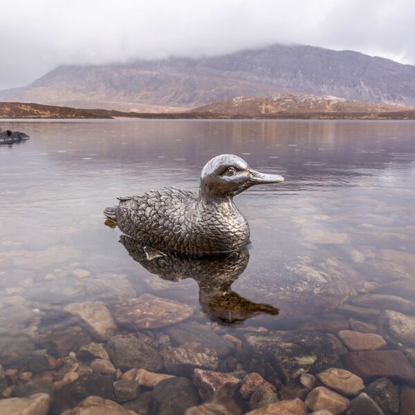 THE SILVER DUCK