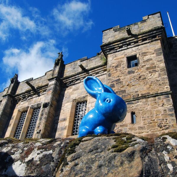 THE BLUE RABBIT