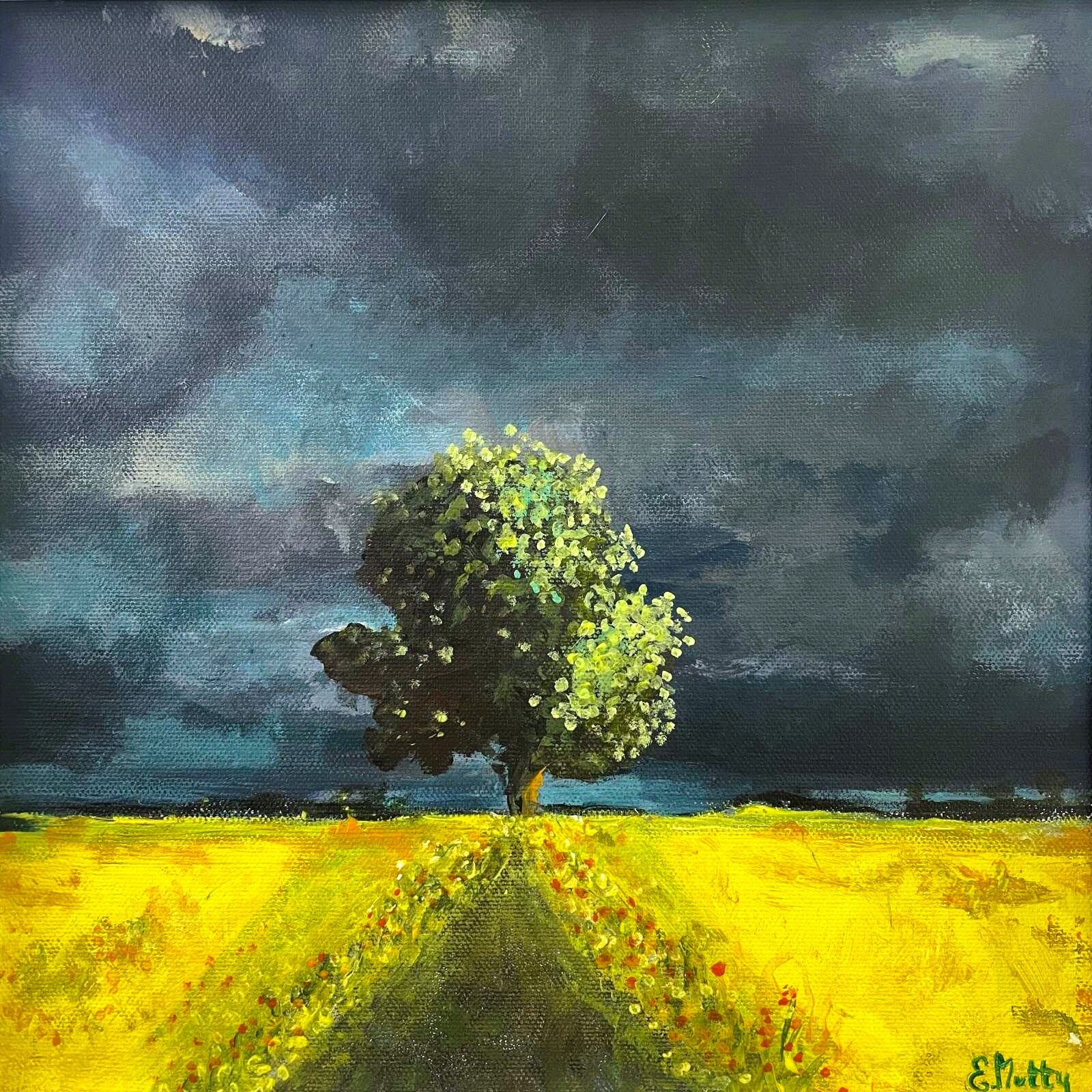 - After the Storm -
