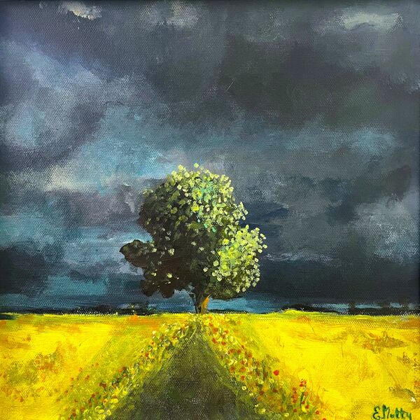 - After the Storm -