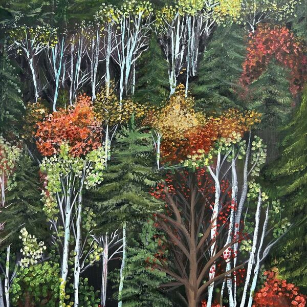 - Colour in the Mountains -