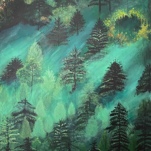 - Mist in the Mountains -