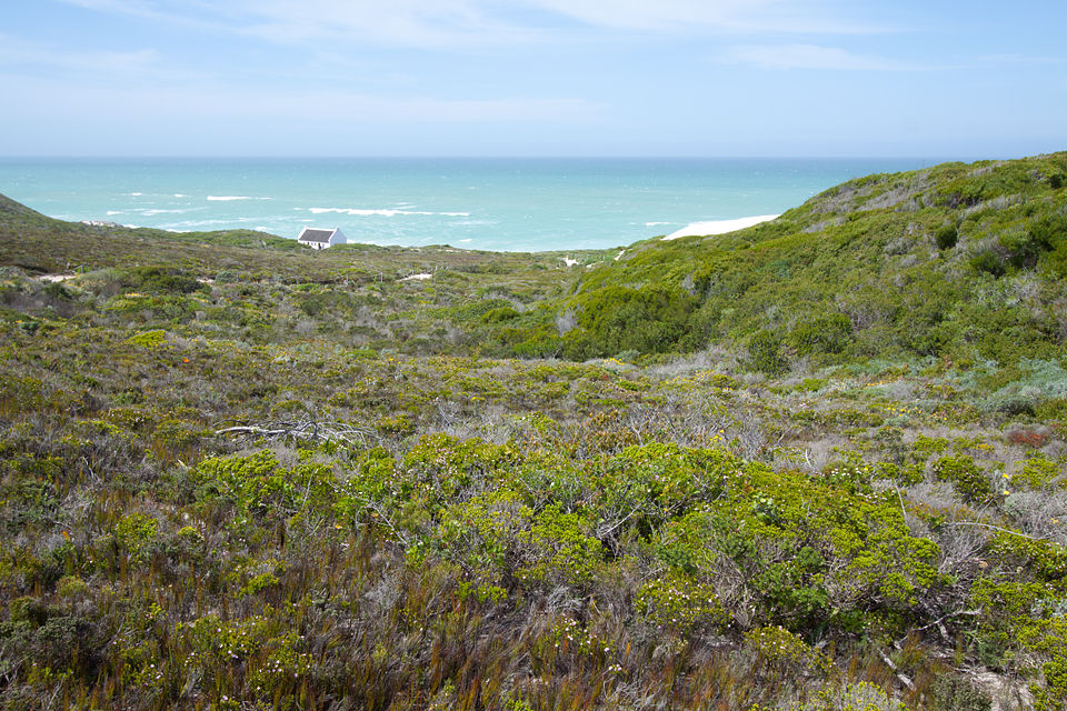 Just a hint of moving sand dunes. Canon 50D, Canon EF-S 10-22mm f/3.5-4.5 USM, 1/125, f/10, iso 100, handhold.