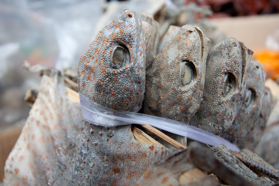 Dried Tokay Gecko's (Gecko gecko) on a traditional medicine market. Canon 50D, Canon EF-S 10-22mm f/3.5-4.5 USM, 1/50, f/5.6, iso 100, handheld.