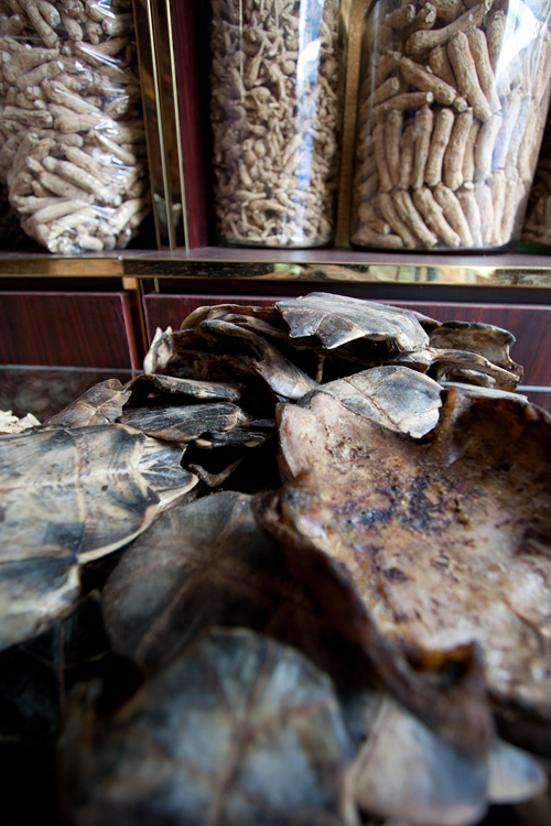 Turtle shells for sale on the foreground. Canon 50D, Canon EF-S 10-22mm f/3.5-4.5 USM, 1/30, f/3.5, iso 200, handheld.