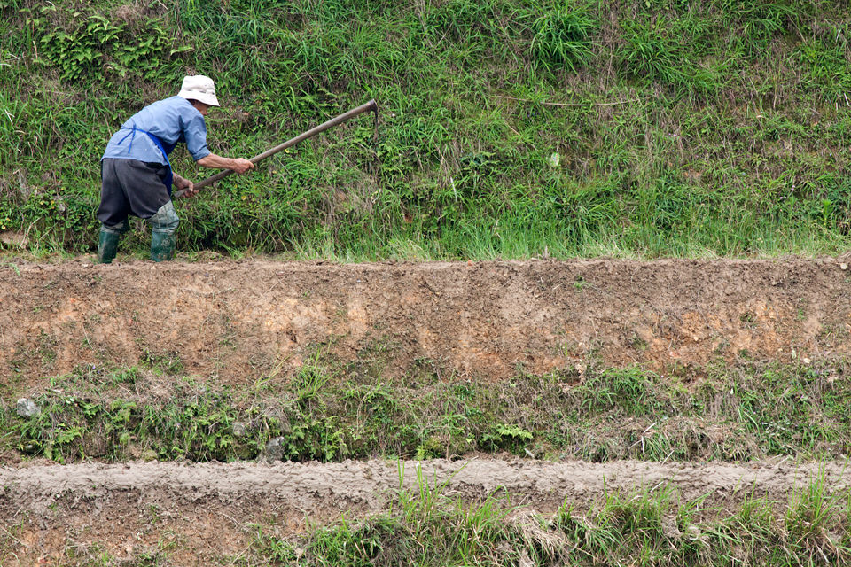 A farmer tilling her paddy field using an mattock. Canon 50D, Canon EF 400mm f/5.6 L USM, 1/500, f/8, iso 640, handhold.