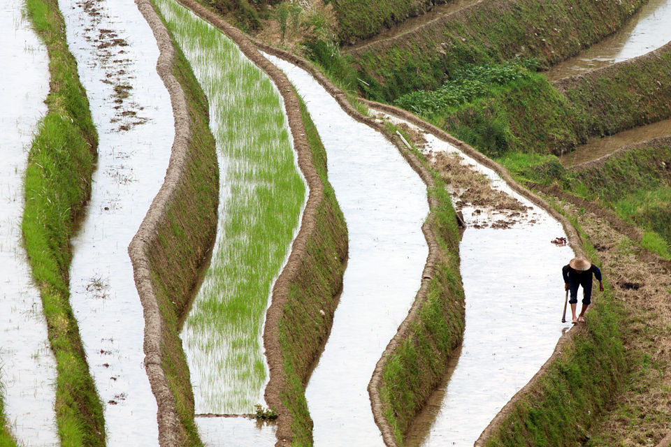 Endless rice terraces. Canon 50D, Canon EF-S 10-22mm f/3.5-4.5 USM, 1/500, f/8, iso 200, handheld.