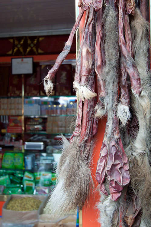 Dried deer penis surely has its use... Canon 50D, Canon EF-S 10-22mm f/3.5-4.5 USM, 1/40, f/4.5, iso 100, handheld.