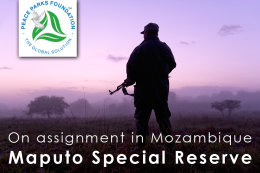 Assignment: Maputo Special Reserve