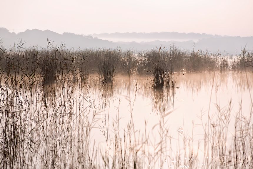 A serene view of one of the lakes in Maputo Special Reserve: super sharp reflections during sunrise.