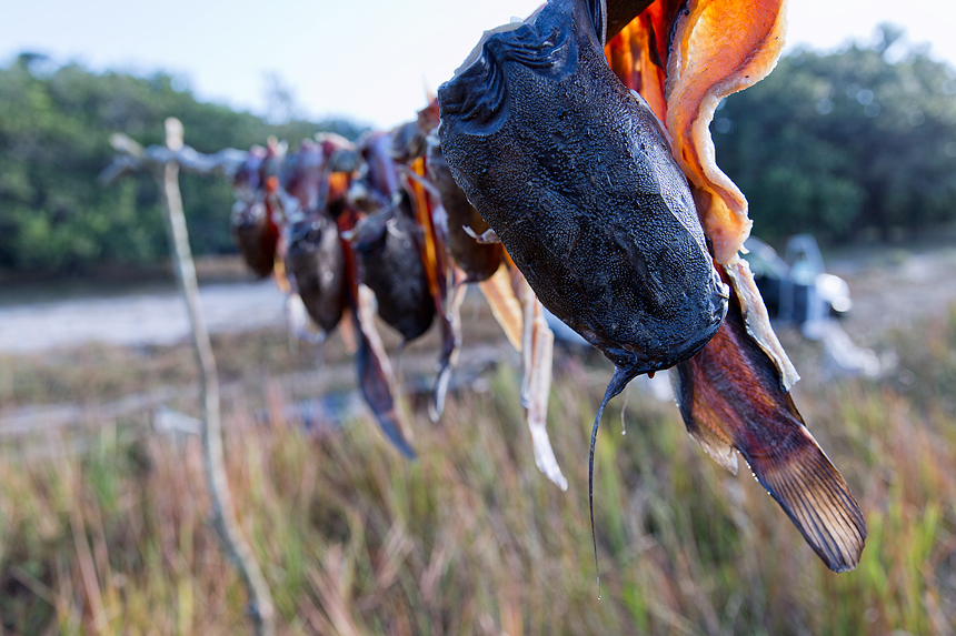 Catfish on a drying rack. Fishermen fish for two weeks before they head to the nearest market.
